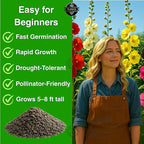 225+ Hollyhock Flower Seeds, Pack for 2026 USA Premium Non-GMO Carnival Mix Giant Hollyhock Seeds - Home Garden Flower Perennial