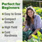 HOME GROWN Vates Collard Green Seeds Bulk Mix | 300+ Heirloom Non-GMO Seed for Fall & Winter Garden Planting | High Germination Frost Tolerant & Slow to Bolt | Nutritious Leafy Greens