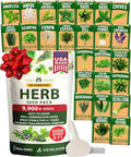 HOME GROWN 25 Herb Seeds for Planting 8,700+ Non-GMO Heirloom Seeds | Extra Large Variety Pack Herb Kit – Indoor Outdoor & Hydroponic | Culinary Seed Set | Grow Your Own Herbs | Gardening Gift