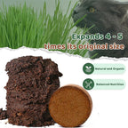Doter Organic Potting Soil for Indoor Cat Grass, Great Seedling Soil for Wheat Grass, Bermuda, Catnip, and All Indoor Herb Plants