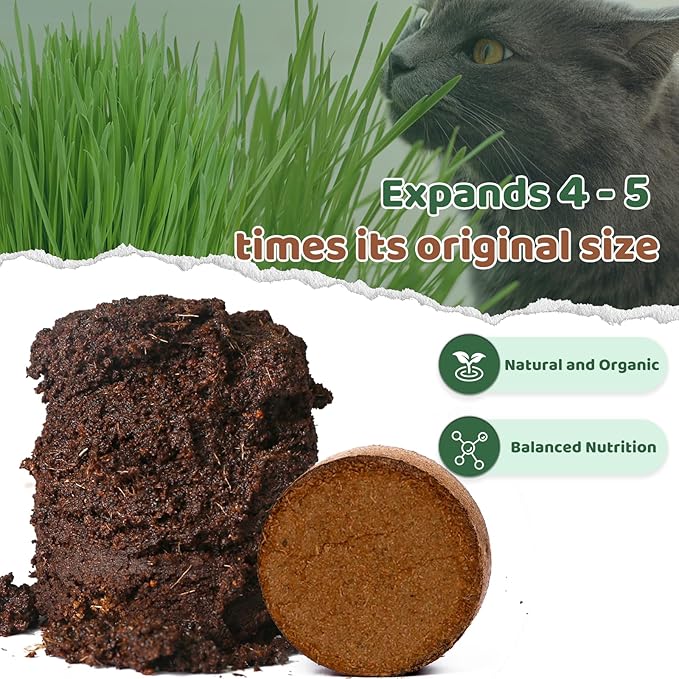 Doter Organic Potting Soil for Indoor Cat Grass, Great Seedling Soil for Wheat Grass, Bermuda, Catnip, and All Indoor Herb Plants