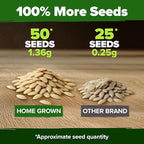 HOME GROWN Persian Cucumber Seeds 50+ Heirloom Non-GMO, Beit Alpha Variety, High Germination, Sweet Thin Skin, Burpless Snacking Cucumbers, Fast Growing, Indoor Outdoor Garden Crop (Cucumis sativus)