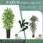 Artificial Dracaena Tree：7FT Faux Silk Tropical Yucca Floor Trees Realistic Fake Green Plant with Natural Wood Trunk & Lifelike Leaves for Home Office Decor Indoor & Outdoor (7FT,1-Pack,Black)