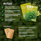 KVITER 1200 Italian Oregano Seeds for Planting (Origanum vulgare) - Majoram, Perennial Pizza Herb, Spicy Flavor Perfect Fresh & Dried - Non GMO & Heirloom Herb Seeds for Outdoor & Indoor Garden, Pots