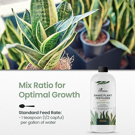 16oz Snake Plant Fertilizer for Snake Plant Live - Makes 96 Gallons of Fertilizer for Indoor Plants, Ideal for Healthy Growth, Strong Leaves, and Vibrant Color - Rich in Macro & Micronutrients