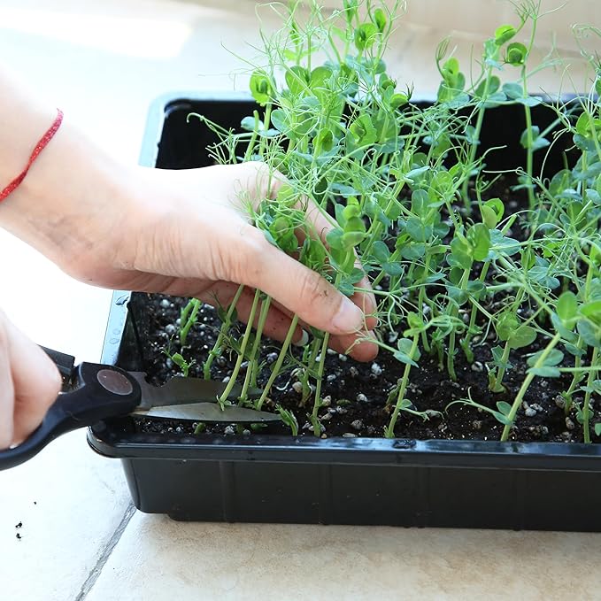 Mr. Pen- Plastic Growing Trays, 10 Pack, Black, 17”x10”, Plant Tray, Seed Tray, Seedling Tray, Propagation Tray, Plant Trays for Seedlings, Seedling Starter Trays, Microgreens Growing Trays