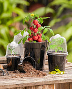 homenote Nursery Pots for Plants,5 Inch Plant Pot for Planting with Humidity Domes Plastic Seedling with Drainage Holes Seed Starter Flower with 10 Labels Black (15 Pack)