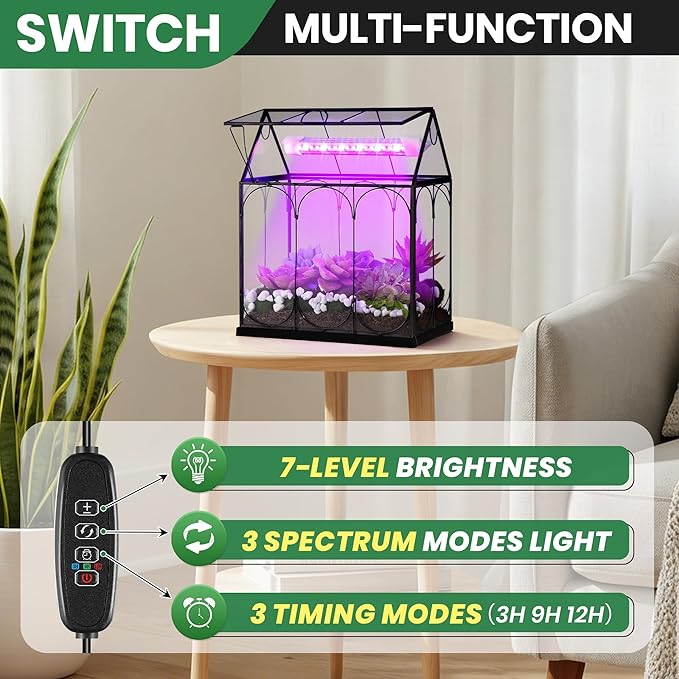 Meonum Tiny Glass Terrarium Kit with Grow Light, Venus Fly Trap Terrarium with Absorbent Mat, Timer&3 Light Modes for Succulent Live Air Plants Indoor Home Office Decor (7.1"x 4.7"x 8.7",USB Powered)