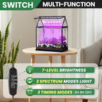 Meonum Tiny Glass Terrarium Kit with Grow Light, Venus Fly Trap Terrarium with Absorbent Mat, Timer&3 Light Modes for Succulent Live Air Plants Indoor Home Office Decor (7.1"x 4.7"x 8.7",USB Powered)