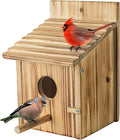 NATUREYLWL Wooden Bird House for Outside, Hanging Natural Wood Birdhouse with Perch, 1.57" Entrance & Side Clean-Out Door for Bluebirds, Wrens and Finches, Garden Decor