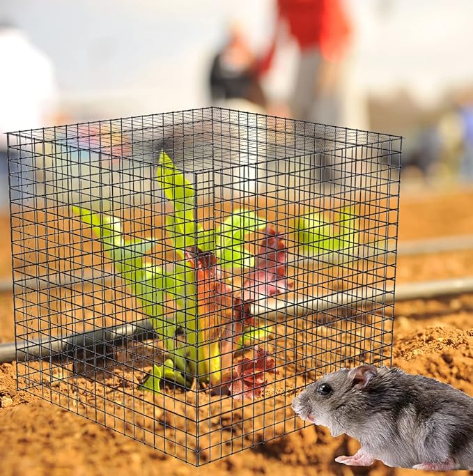 40 Pcs Plant Protector from Animals, 10 Pack 12'' x 12'' Reusable Metal Square Plant Cages, Wire Mesh Garden Cloches to Keep Rabbits, Squirrels and Chicken Out and Protection Vegetables Flowers Shrubs