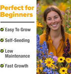 HOME GROWN 32,500+ Midwest Wildflower Seeds 2oz 15 Varieties – Annual & Perennial Flower Seeds for Attracting Bees & Butterflies – Open Pollinated