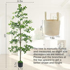 Artificial Black Olive Tree 6FT, Fake Potted Tree for Indoor Outdoor, Lifelike Faux Floor Plants with Moss Topper and Cotton Basket, Home Office Living Room Bedroom Doorway Hallway Decor