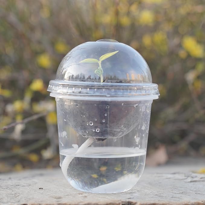 ORIMERC 30 Set Nursery Pots with Humidity Dome, Clear Nursery Pots with Drainage, Self Watering Small Plant Pots, Seedling Pots for Plants, Seed Starter Pots for Planting Vegetables Fruit Flower