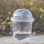 ORIMERC 30 Set Nursery Pots with Humidity Dome, Clear Nursery Pots with Drainage, Self Watering Small Plant Pots, Seedling Pots for Plants, Seed Starter Pots for Planting Vegetables Fruit Flower