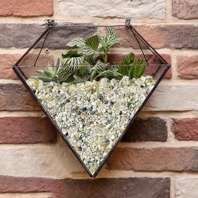 Succulent and Cactus Bonsai DIY Rocks, Jade Bean Pebbles, Natural Decorative Polished Stones Vase Fillers Gravel for Plants，Terrarium, Fairy Gardening, Indoor Outdoor Decor Ornamental Stones.