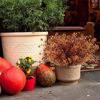 12Pcs Artificial Fake Flowers, Artificial Outdoor Mums,Artificial Fall Flowers, Fake Outdoor UV Resistant Autumn Plants for Home Kitchen Christmas Festival Thanksgiving Autumns Decoration (Brown)