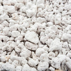 Perlite Bliss (16 Qts) - Organic Perlite for Plants Indoor Soil Amendment - Horticultural Perlite for Gardening & Seed Starting - Mixes Easily with Potting Soil, Vermiculite, & Coco Coir for Plants