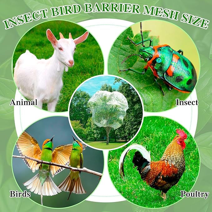 2Pcs Fruit Orchard Netting, 6.56 x 6.56 FT Plant with Zipper and Drawstring, Garden Netting to Protect Fruit from Birds, Bird Nettings for Cicadas