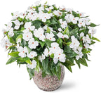 Nigirior Artificial Fake Flowers for Outdoor Décor 6 Bundles UV Resistant Fake Plants for Planter Faux Impatiens for Home Porch/Garden Stunning（White）