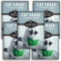 Cat Grass Seeds for Planting – Grow Pet Greens Indoors or Outdoors – Heirloom Non-GMO Tri Grain Blend – Survival Garden Seeds (5 Pack, Seed Only)