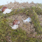 Snail Terrarium Accessory Kit 3PCS, Includes Layer Moisture-Retaining Substrate, Top Layer Moisture-Retaining Substrate, Climbing Toy