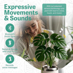 PLANTPETZ Large Robotic Planter – Smart Planter Fits 4 Inch Pots | Bluetooth Speaker | Interactive Smart Plant Pot Turns A Real Plant Into a Touch/Motion Responsive Companion - Pure Ivory White