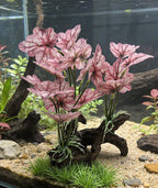 M2cbridge Fish Tank Plastic Soft Grass Artificial Betta Water Plants Decoration Goldfish Hide 2pcs (Light Purple)