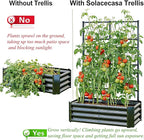 Galvanized Raised Garden Bed with Trellis for Climbing Plants Outdoor,Metal Vertical Garden Planter Box for Patio,Heavy Duty Elevated Garden Bed for Vegetables Tomatoes Cucumbers Flowers Herbs,Black