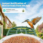 HARYMOR Bird Feeder with Camera with AI Identify Birds Species Solar Powered, Smart Bird House with Cam, 2K HD Video Live Stream, Instant Arrival Alerts - Green