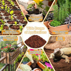 Riare 200 Pcs 30mm Organic Coco Coir Seed Starter Soil, Compressed Coconut Coir Potting Soil Mix for Seed Starting, Coconut Fiber Pellet for Planting Indoor & Outdoor Plants, Vegetables, Garden