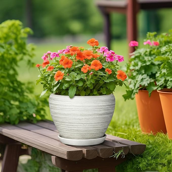 Ceramic Plant Pots Indoor - 10 Inch Planter with Drainage Hole and Saucer, Modern Planters for Indoor Outdoor Plants, Large Flower Pots, Bedroom Decor, Gardening Gifts, Textured Grey