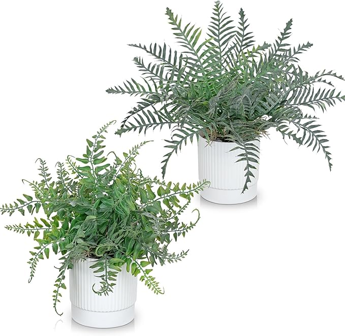 GnFlus Set of 2 Fake Plant Boston Fern Potted Artificial Plants Small Artificial Desk Plant with Potted Pots for Shelf Desk Home Bathroom Farmhouse Room Office Kitchen Farmhouse Coffee Table Decor