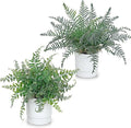 GnFlus Set of 2 Fake Plant Boston Fern Potted Artificial Plants Small Artificial Desk Plant with Potted Pots for Shelf Desk Home Bathroom Farmhouse Room Office Kitchen Farmhouse Coffee Table Decor