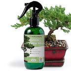 Bonsai Fertilizer Spray by Perfect Plants | Liquid nutrients for Your Small Tree Garden | Balanced Plant Food Mist Rich in micronutrients (8 fl oz)