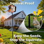 Smart Bird Feeder with Camera Solar Powered AI Identification 10,000+ Bird 2K UHD Video Live Instant Arrival Alerts and Real-Time Motion Detection Weatherproof Bamboo for Outdoor Birds Lovers