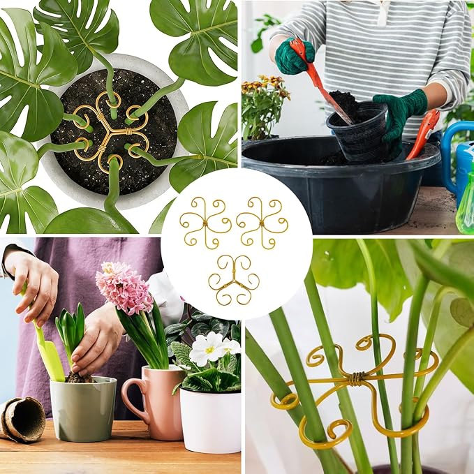4PCS Iron Monstera Plant Support - 4.1IN Plant Support Stakes for Indoor Plants, Stable Plant Stakes and Supports, Ideal Plant stem Support for Turtle Shell Bamboo & Houseplants