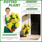 Faux Hydrangea Tree 30" Tall (2 Pack), Artificial Hydrangea Plant in Pot with Yellow Flowers, Realistic Hydrangea Tree for Indoor Outdoor Porch, Patio, Home Decor