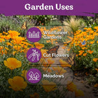 KVITER 3000 Orange California Poppy Seeds (Eschscholzia Californica) - Californian Poppy, Drought Tolerant Wildflower, Orange Flower Seed Packets - Flower Seeds for Outdoor Garden, Meadow, Cut Flowers