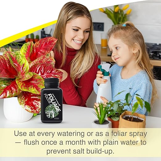 Growth Technology GT Foliage Focus - Liquid Indoor Plant Food for Houseplants, Tropical Plants, Aroids, Ferns and Palms - Concentrated Formula for Vibrant Leaves and Dense Foliage - 8.5 fl oz (250 mL)