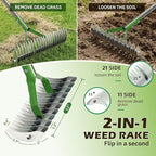 Dual-Action Dethatcher Rake - 21-Tine, Adjustable Long-Handle Landscaping Rake with 55", Heavy Duty Thatch Rake,Turf Rake for Artificial Grass, Metal Rake for Spring Lawn Care, Soil Aeration