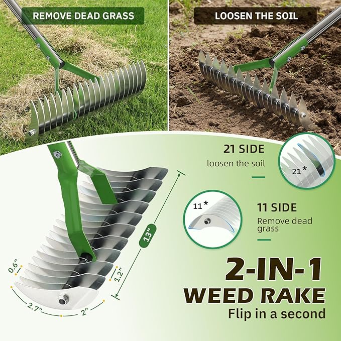 Dual-Action Dethatcher Rake - 21-Tine, Adjustable Long-Handle Landscaping Rake with 55", Heavy Duty Thatch Rake,Turf Rake for Artificial Grass, Metal Rake for Spring Lawn Care, Soil Aeration