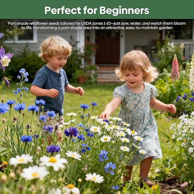 Groundio 13 Varieties Partial Shade Wildflower Seeds, Mixed Annual and Perennial Flower Seeds for Garden, Yard, Container Planting, 1 Ounce