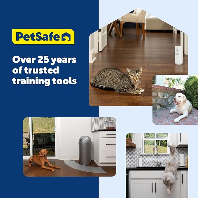 PetSafe SSSCAT Refill Can for Motion Activated Automatic Spray Pet Deterrent for Cats and Dogs