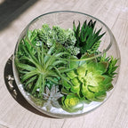 Winlyn 19 Pcs Assorted Artificial Succulents Plants Unpotted Small Green Hanging Succulent Aloe Fake Cacti Succulents Bulk for Succulent Garden Centerpiece Wreath Arrangement Indoor Outdoor Home Decor