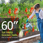 Cucumber Trellis for Raised Bed, Rifny 16.5 x 60 Inch Metal Trellis for Climbing Plants Outdoor with Plant Clips Twist Ties, Garden Plant A-Frame Trellis for Vegetable Pea Tomato (Black, 2 PCS)