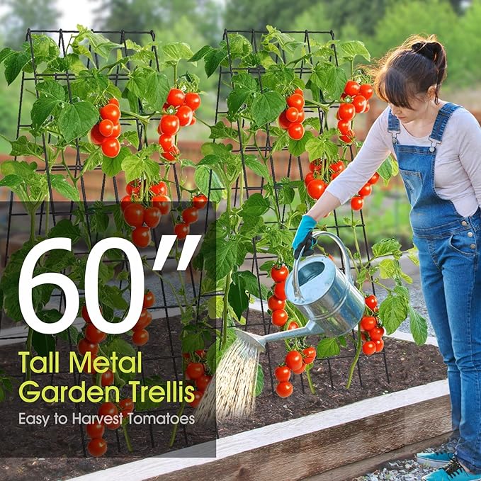 Cucumber Trellis for Raised Bed, Rifny 16.5 x 60 Inch Metal Trellis for Climbing Plants Outdoor with Plant Clips Twist Ties, Garden Plant A-Frame Trellis for Vegetable Pea Tomato (Black, 2 PCS)