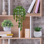Winlyn 3 Pcs Assorted Small Potted Succulent Plants Artificial Aloe Hops String of Pearls Succulents in Gray Geometric Concrete Pots for Gifts Table Shelf Windowsill Indoor Outdoor Greenery Decor