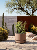 LE TAUCI Large 14 Inch Plant Pot with Saucer | Ceramic Outdoor & Indoor Big Planter Pot | Drainage Hole, Mesh Pad & Plug | Unglazed Porous | Modern Minimalist for Home and Patio – Terracotta Color