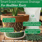Houseplant Smart Gravel – Improve Drainage, Prevent Overwatering & Root Rot, Support Strong Roots | Eco-Friendly & Reusable Drainage Rocks for Potted Plants | Sustainably Recycled Ocean Plastic | 32oz